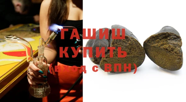 индика Белокуриха