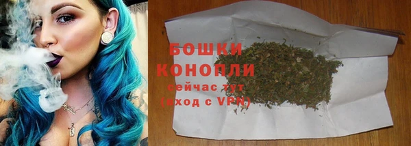 индика Белокуриха