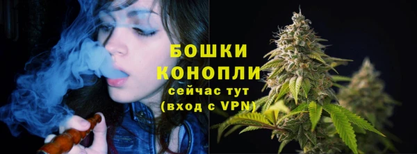 индика Белокуриха