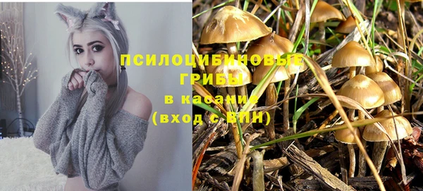 таблы Белоозёрский