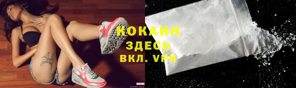 индика Белокуриха