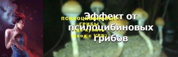 индика Белокуриха