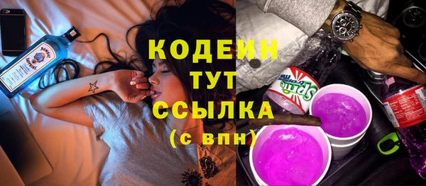 индика Белокуриха
