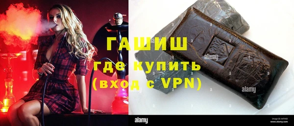 индика Белокуриха