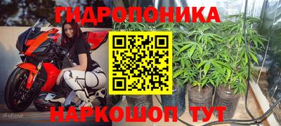 мяу мяу мука Заводоуковск