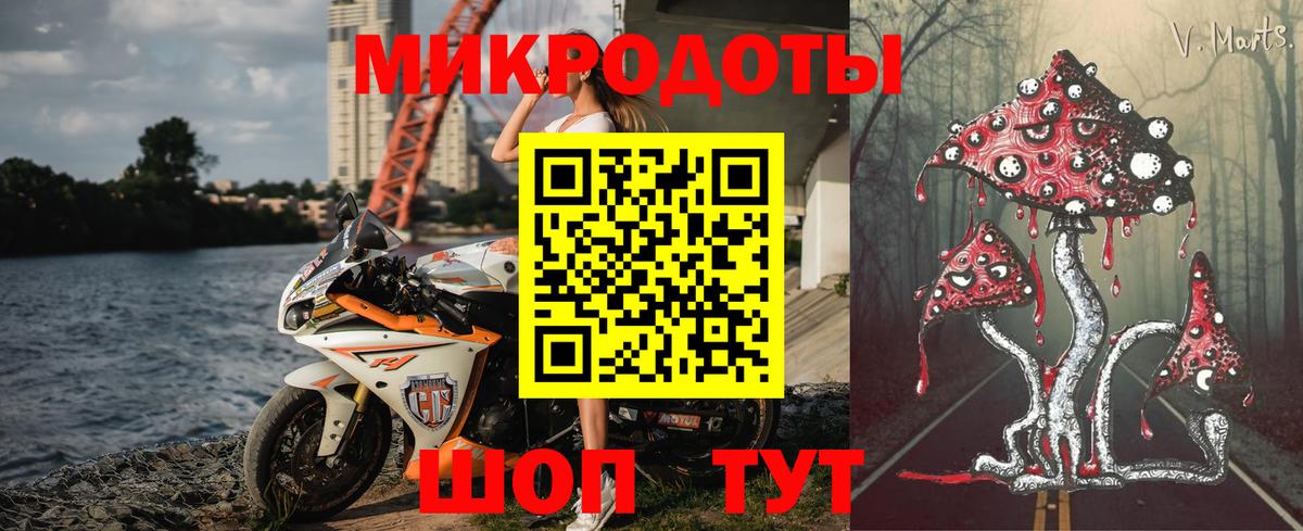 Псилоцибиновые грибы Psilocybe Луховицы