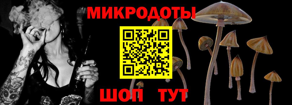 Галлюциногенные грибы Psilocybe  Вход с VPN  Луховицы  Галлюциногенные грибы GOLDEN TEACHER 